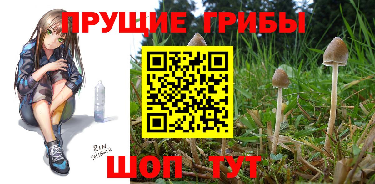 Псилоцибиновые грибы Magic Shrooms Учалы